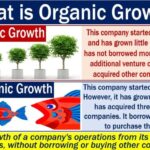 Understanding Organic Growth