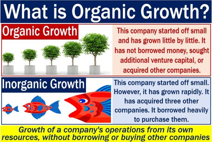 Understanding Organic Growth