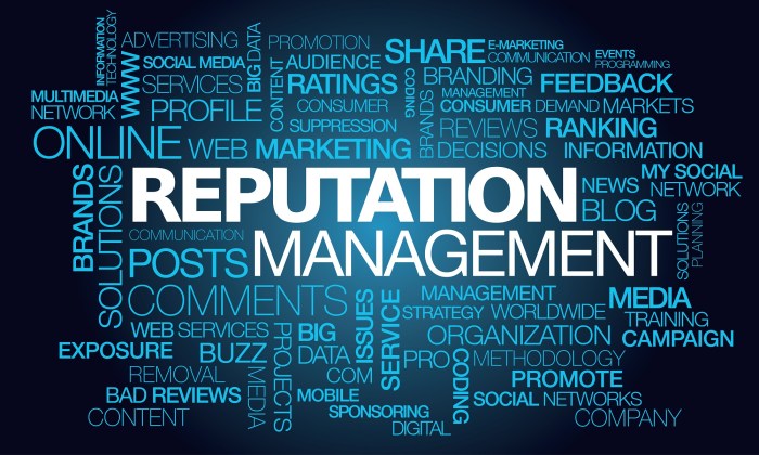 Managing Brand Reputation Online