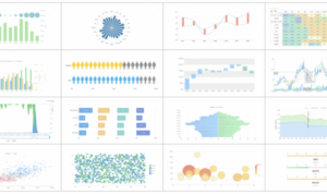 Using Data Visualization Tools