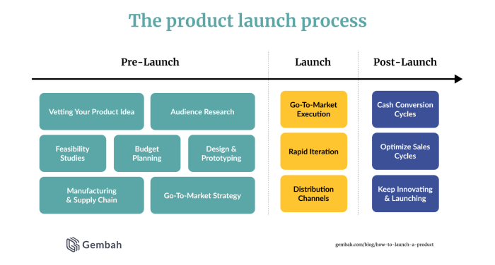 Product Launch Strategies